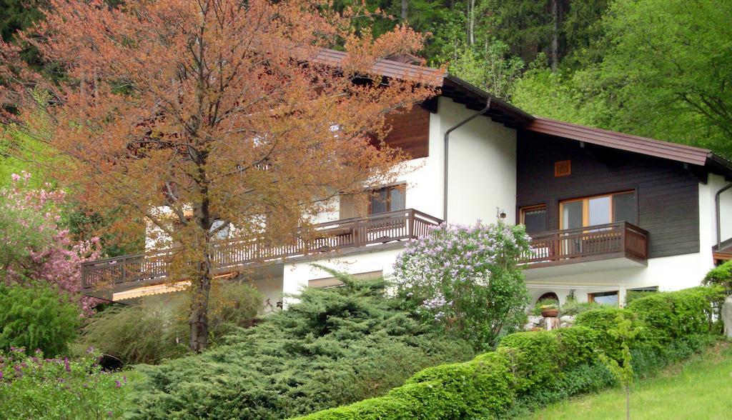 Haus Margrit Ferienwohnung In Sonnenlage Golling an der Salzach Dış mekan fotoğraf